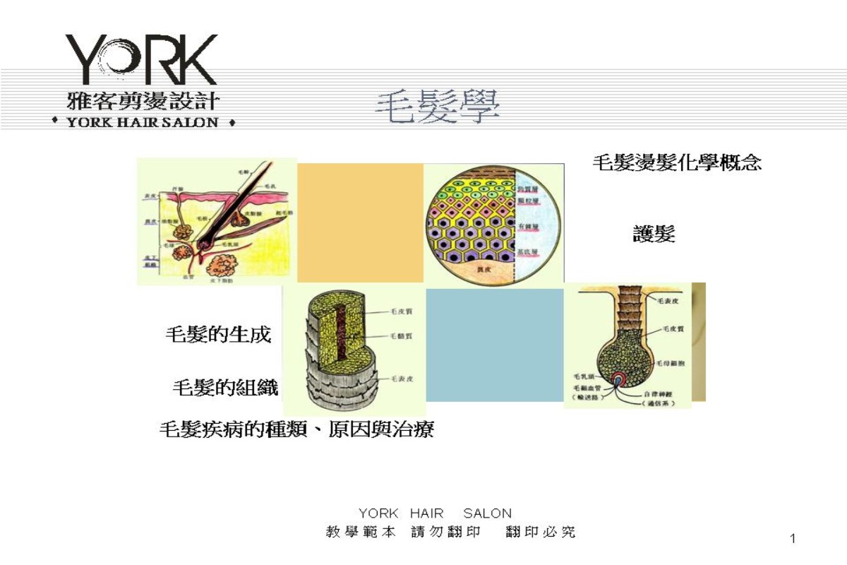 頭髮需要的營養