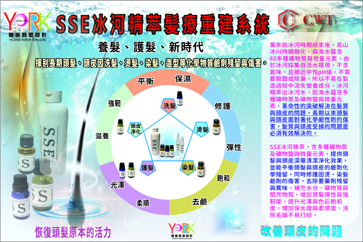 SSE冰河精萃髪療重建系統